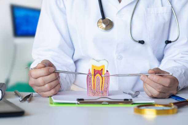 Best Emergency Root Canal Treatment in Luling, LA